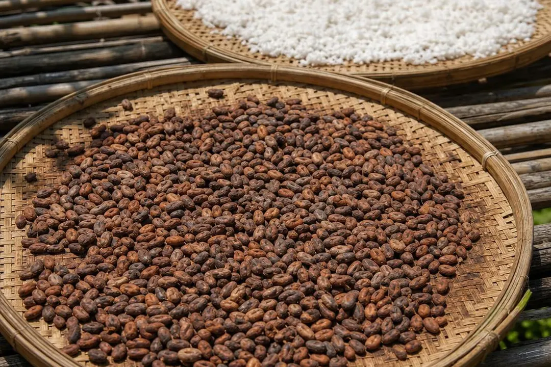 可可豆与椰丝摊在竹编托盘上晾晒的俯拍特写